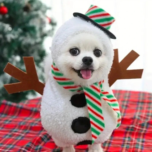 Other - Snowman dog costume